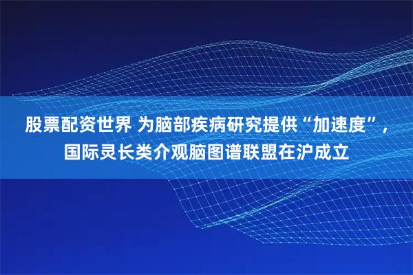 股票配资世界 为脑部疾病研究提供“加速度”，国际灵长类介观脑图谱联盟在沪成立