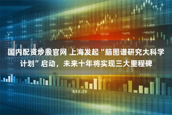 国内配资炒股官网 上海发起“脑图谱研究大科学计划”启动，未来十年将实现三大里程碑