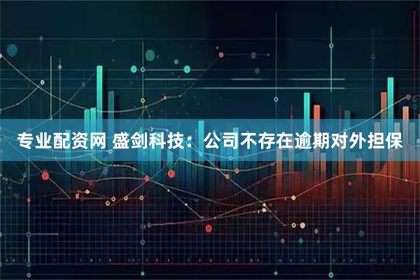 专业配资网 盛剑科技：公司不存在逾期对外担保